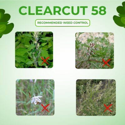 Clear Cut 58 - Image 5