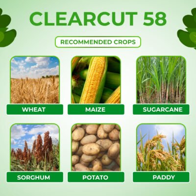 Clear Cut 58 - Image 4