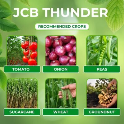 Jcb Thunder - Image 5