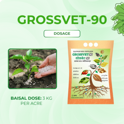 Grossvet 90 - Image 5