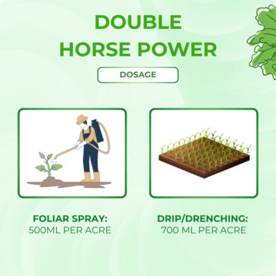 Double Horse Power - Image 5