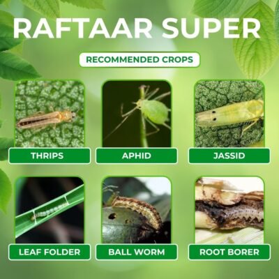 Raftar Super - Image 4