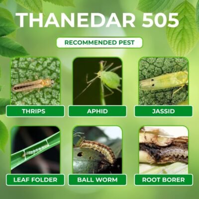 Thanedar 505 - Image 4