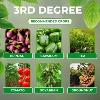 3Rd Degree - Image 4