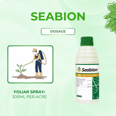Seabion - Image 5