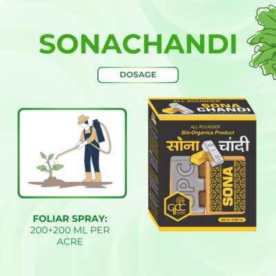 Sona Chandi - Image 5