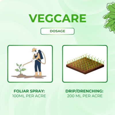 Vegcare - Image 5