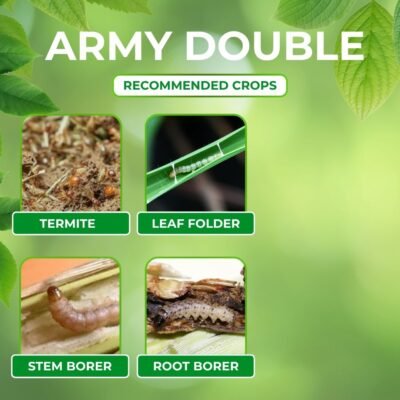 Army Double - Image 4