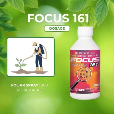 Focus 161 - Image 6