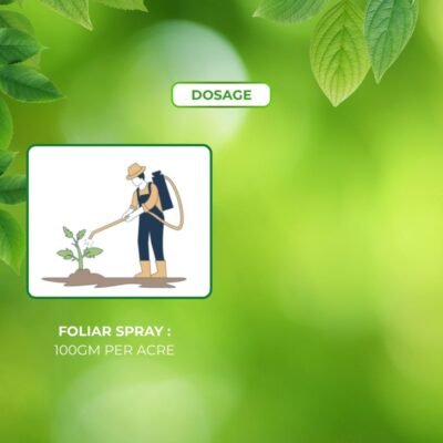 Twenty-Twenty - Image 6