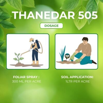 Thanedar 505 - Image 6