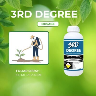 3Rd Degree - Image 6