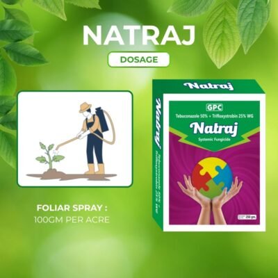 Natraj - Image 6