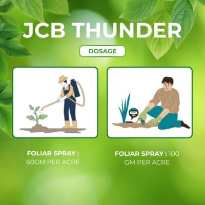 Jcb Thunder - Image 6