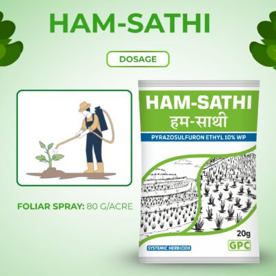 Ham Sathi - Image 3