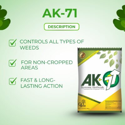 Ak-71 - Image 3