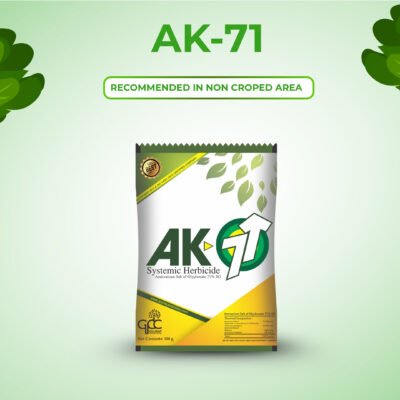 Ak-71 - Image 4