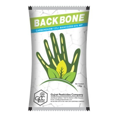 Backbone - Image 1