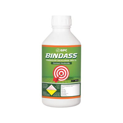 Bindass - Image 1