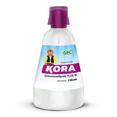 Kora - Image 1