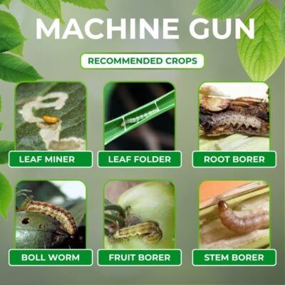 Machine Gun - Image 5