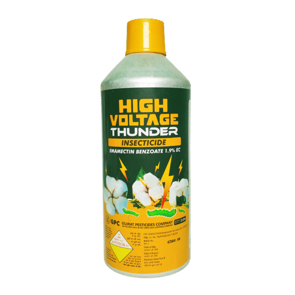 High Voltage Thunder