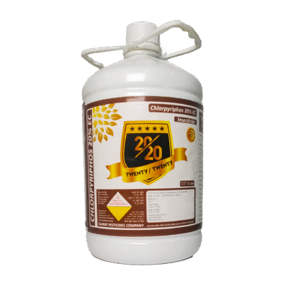 Twenty-Twenty - Image 1